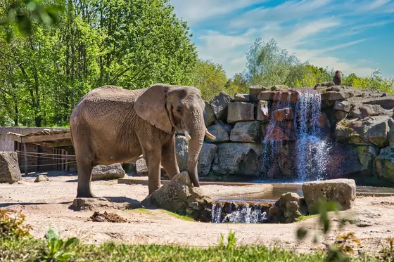 Safaripark Beekse Bergen
