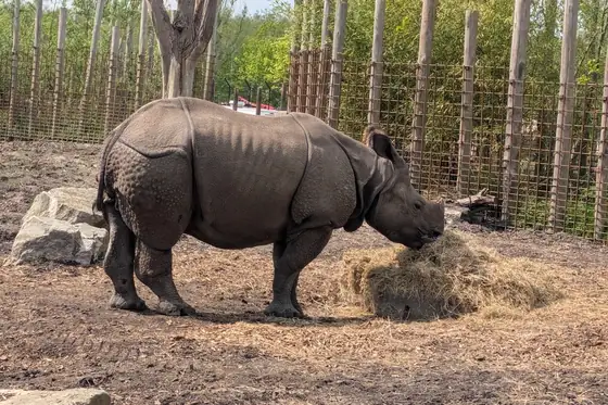 Eindhoven Zoo