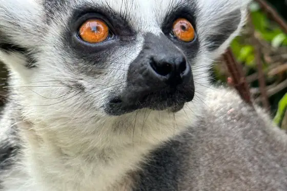 Eindhoven Zoo