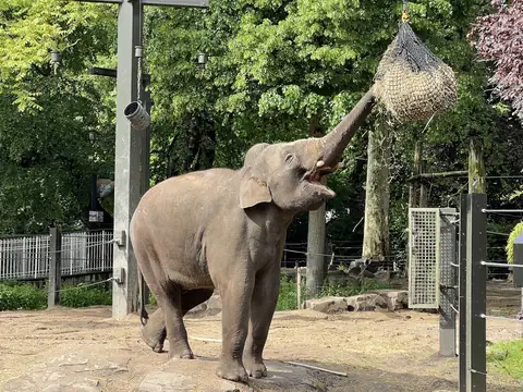 ZOO Antwerpen